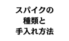 スパイクの種類と手入れ方法